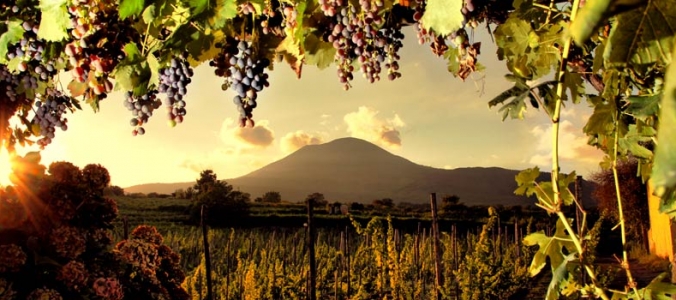 Pompei e cantina vinicola - Tour selezionato